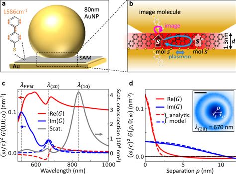 Giant Optomechanical Spring Effect In Plasmonic Nano And Picocavities