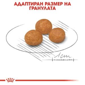 ROYAL CANIN X SMALL ADULT на Цена от 8 08лв Lapichki bg