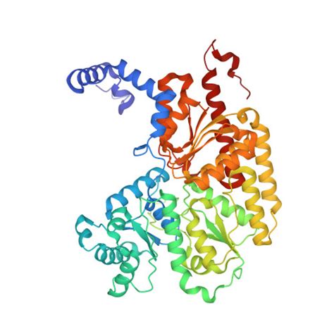 Rcsb Pdb Op Selenium Incorporated Femo Cofactor Of Nitrogenase