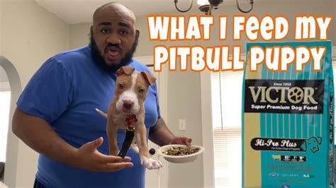 What I Feed My Pitbull Puppy Youtube