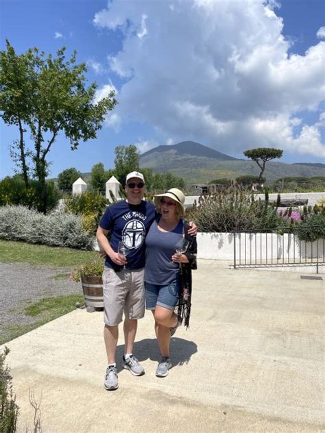 Da Sorrento Tour Privato Di Pompei E Degustazione Di Vini In Auto