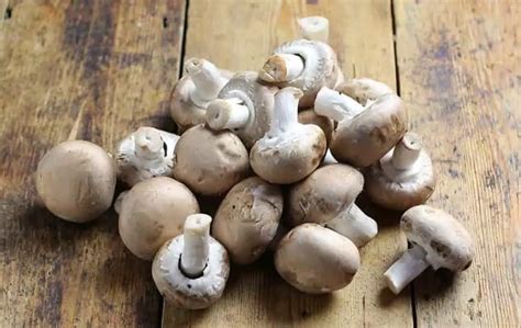 3 Ways to Cook Mushrooms & Health Benefits - Cook After Me