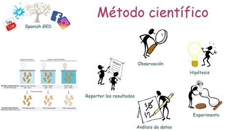 Pasos Del Método Científico Youtube