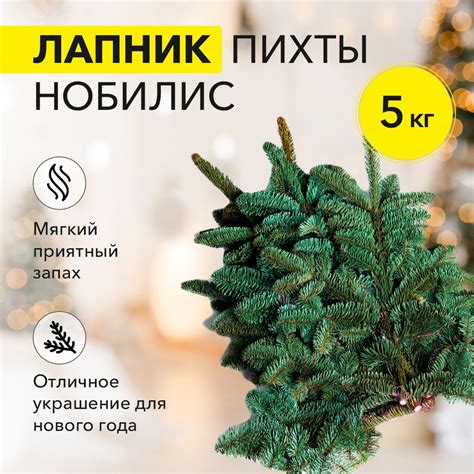Лапник Нобилис 5 кг - купить с доставкой по выгодным ценам в интернет ...