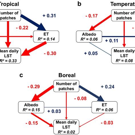 Global Path Models Depicting The Direct And Indirect Effects Of Forest