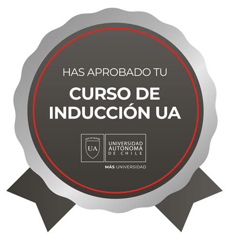 PROCESO DE AUTOINSTRUCCIÓN A LA UNIVERSIDAD AUTÓNOMA DE CHILE fue