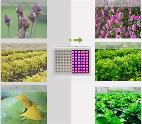 Comparatif Et Tests Des Meilleures Lampes Led Horticoles