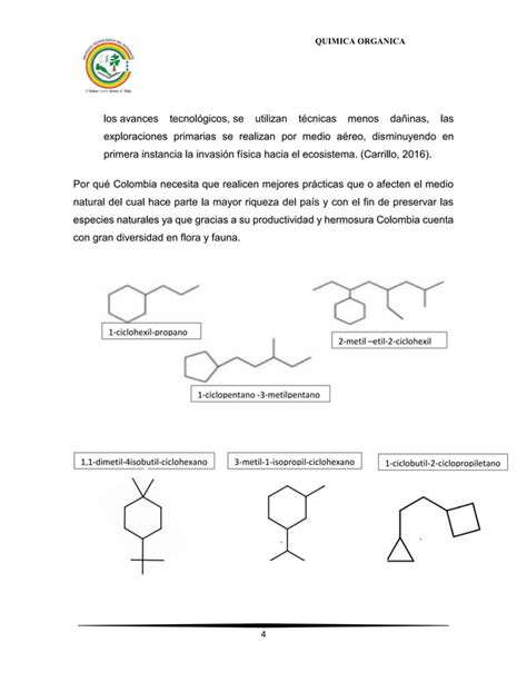 Ensayo Hidrocarburos Pdf