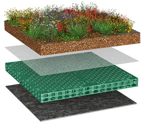 Extensive Dachbegr Nung Baudergreen Retention System Dossel