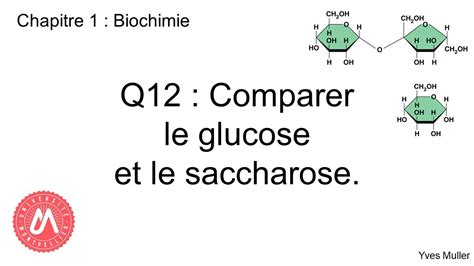 Chapitre 1 Biochimie Q12 Comparer Le Glucose Et Le Saccharose