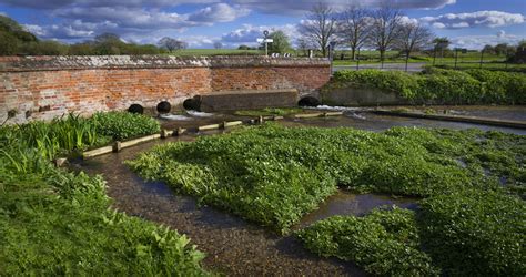 Ewelme Watercress Beds Walks The Foodie Travel Guide