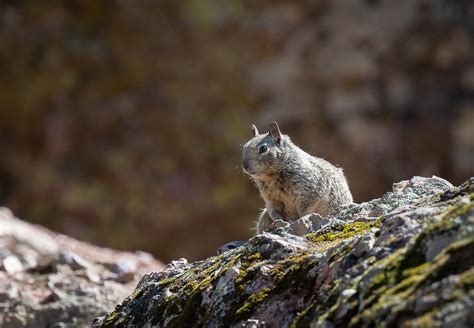 Pinnacles National Park | Journeys on a Trawler