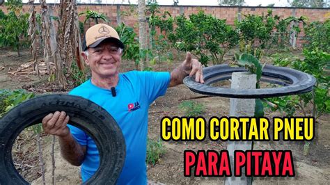 Aprenda como cortar e colocar PNEU no mourão da PITAYA YouTube