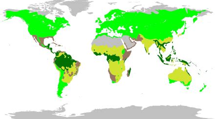 Fabaceae - Wikipedia