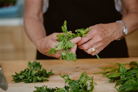 10 Versatile Culinary Herbs To Include In Your Garden The Ecology Center