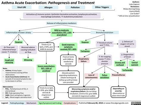 Asthma Acute Exacerbation: Pathogenesis and Treatment | Calgary Guide