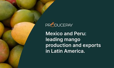 Mexico and Peru: leading mango production and exports in Latin America. - ProducePay