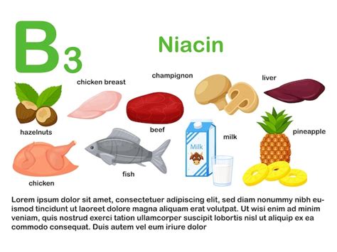 Affiche Rectangulaire Avec Des Produits Alimentaires Contenant De La