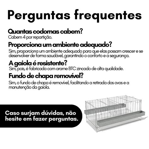 Criação De Codorna 4