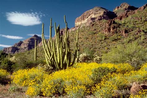 Climate Change In The Southwest Introduction And Current Climate Us