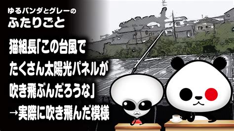 ふたりごと「猫組長『この台風でたくさん太陽光パネルが吹き飛ぶんだろうな』→実際に吹き飛んだ模様」 ゆるパンダオフィシャル Yurupan