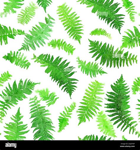 Watercolor Seamless Pattern Of Fern Leaves Botanic Seamless Background