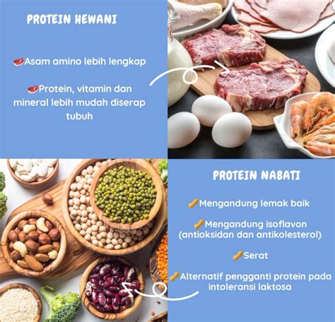 Protein Nabati Dan Hewani Homecare