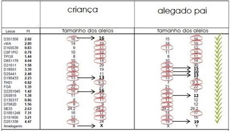 Teste De Partenidade - Como ler os resultados de um teste de adn e de um teste de paternidade