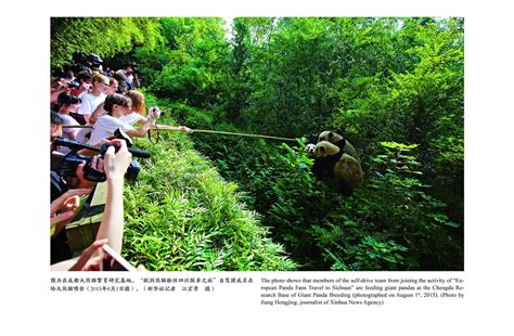 Chinese Bamboo Culture Delights Fijians China Cultural Center