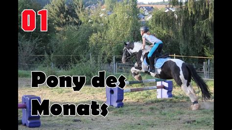 Pony Des Monats Januar Princess Regenbogen Ponyland Youtube