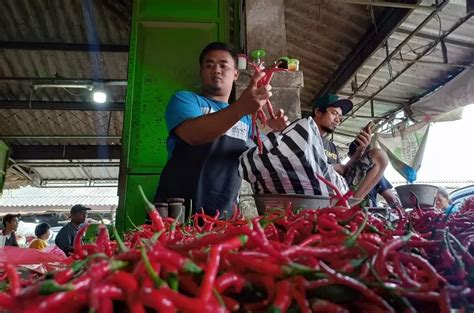 Kualitas Cabai Merosot Tren Penjualan Menurun Radar Kediri