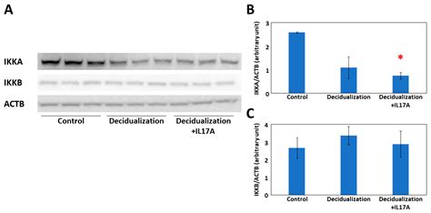 Reprod Med Free Full Text Il17a Suppresses Igfbp1 In Human