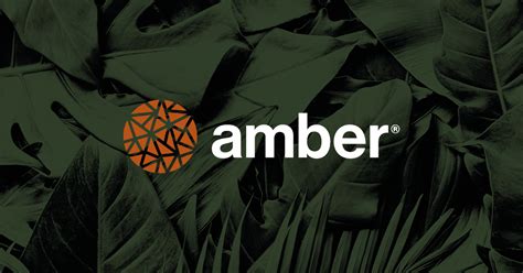 Contact Us | amber®