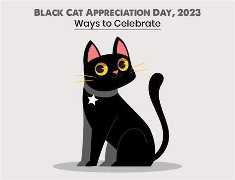 Black Cat Appreciation Day Ways To Celebrate Cat Empire