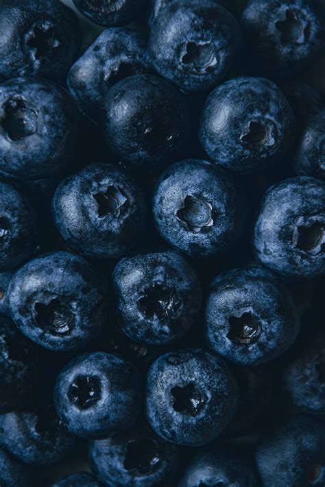 Blueberry Fruits Aesthetic Pattern Blueberries Hd Phone Wallpaper