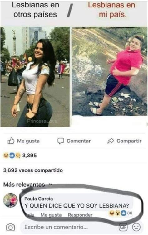 Diferencia De Lesbianas Fleje De Cosas