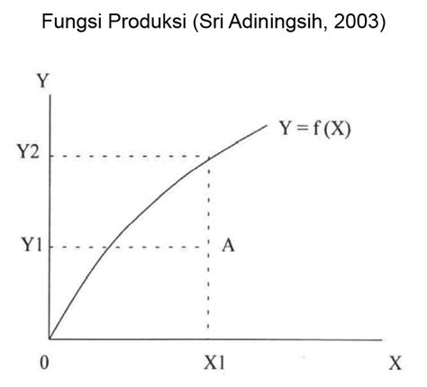 Teori Dan Fungsi Produksi Abstraksi Ekonomi