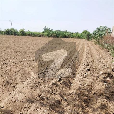 Kanal Farm House Land For Sale On Bedian Road Countryside Farm Houses