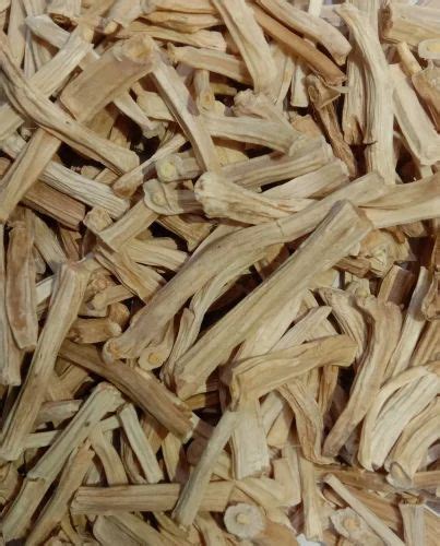 Whole Shatavari, Packaging Type: Bag at Rs 1500/kg in Surat | ID ...