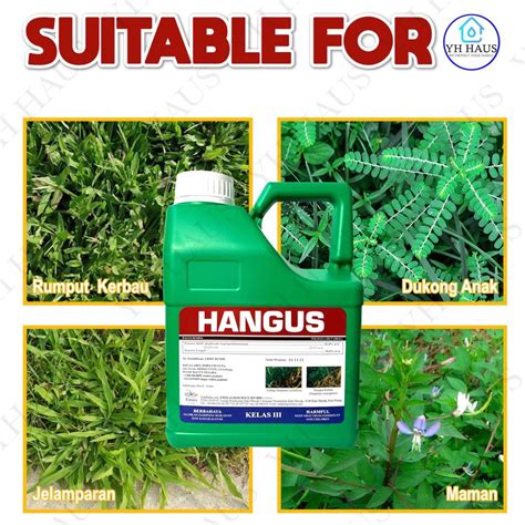 L Hangus Glyphosate Weed Killer Racun Rumput Lalang Ubat Rumput