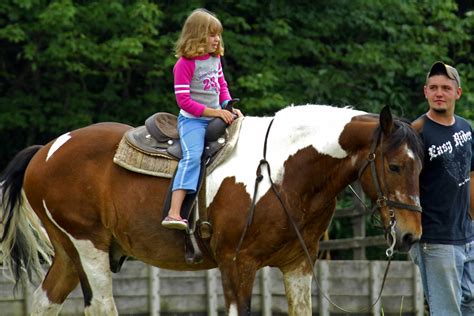 Pipestem Horseback Riding Trips West Virginia State Parks