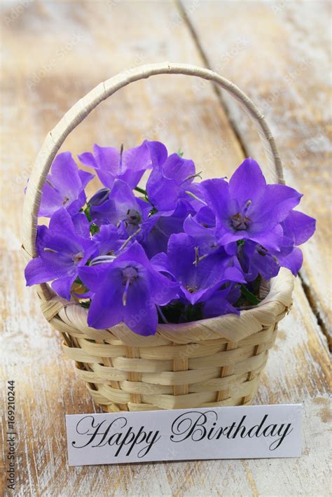 Purple Flowers Happy Birthday Pictures | Best Flower Site