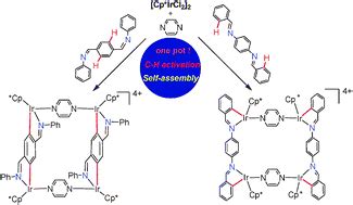 Efficient formation of organoiridium macrocycles via C–H activation ...