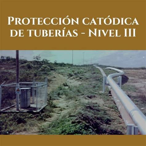 Protecci N Cat Dica De Tuber As Nivel Iii Jorge Goldin Hotmart