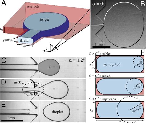 Droplet Microfluidics Driven By Gradients Of Confinement Pnas