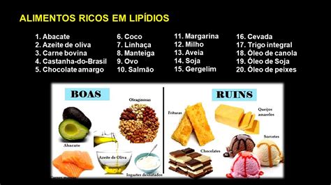Fonte De Lipidios - Que Alimentos Contem Lipidios - BINKEDU