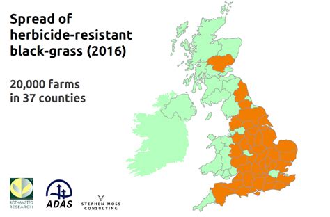 Herbicide Resistance In Black Grass Ahdb