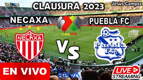 Necaxa Vs Puebla En Vivo Hoy Donde Ver Jornada 15 Liga Mx Clausura 2023