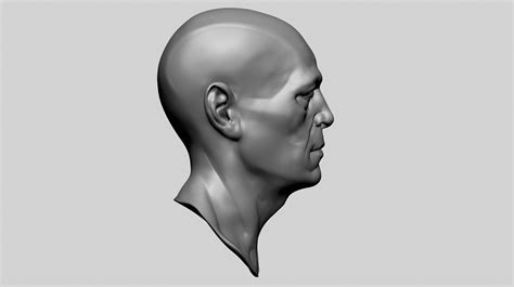 3d Male Head Anatomy B Model Turbosquid 2209901