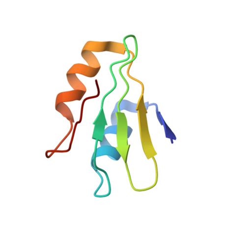 Rcsb Pdb Ftg Subtomogram Average Of Ost Containing Ribosome